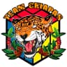 Team Chiapas profile