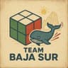 Team Baja Sur profile